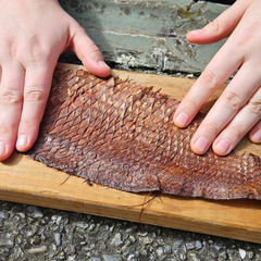 Fish skin tanning (Ōtautahi)