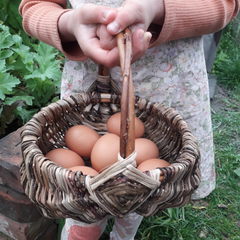 Frame basket (Ōtepoti)