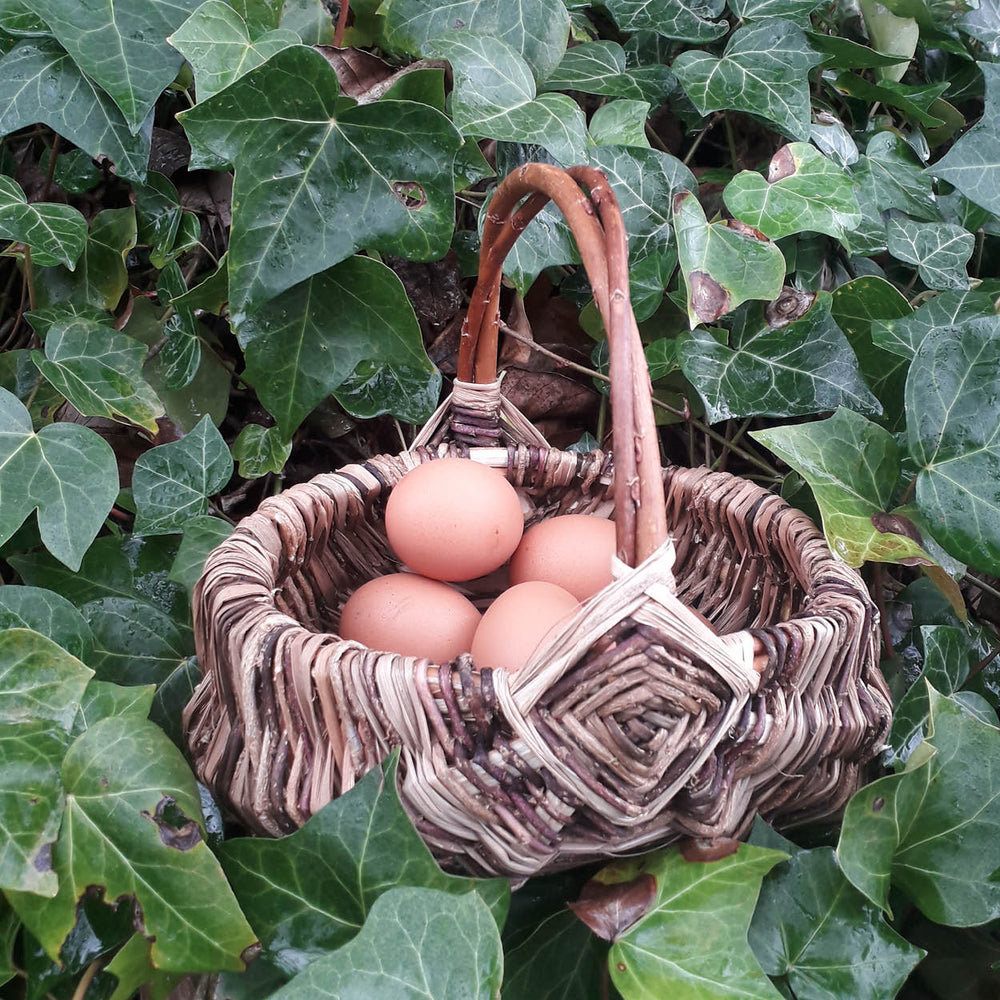 Hand made willow basket with eggs surrounded by green leaves